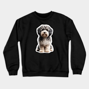 Barbet Crewneck Sweatshirt